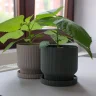 Горшок для растений с поддоном