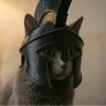 Кошачий спартанский шлем